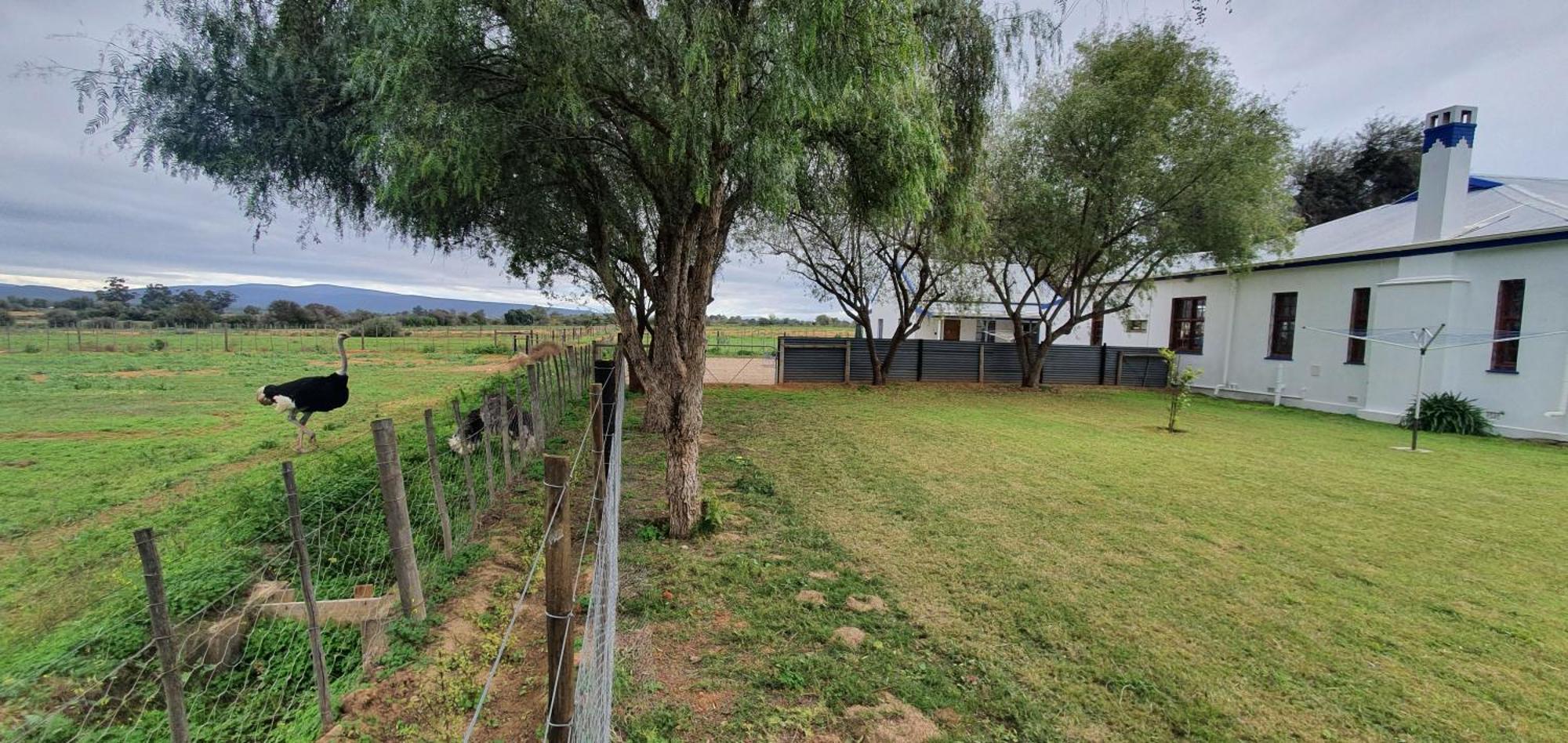Karoo Leeu Self Catering Oudtshoorn Exterior foto