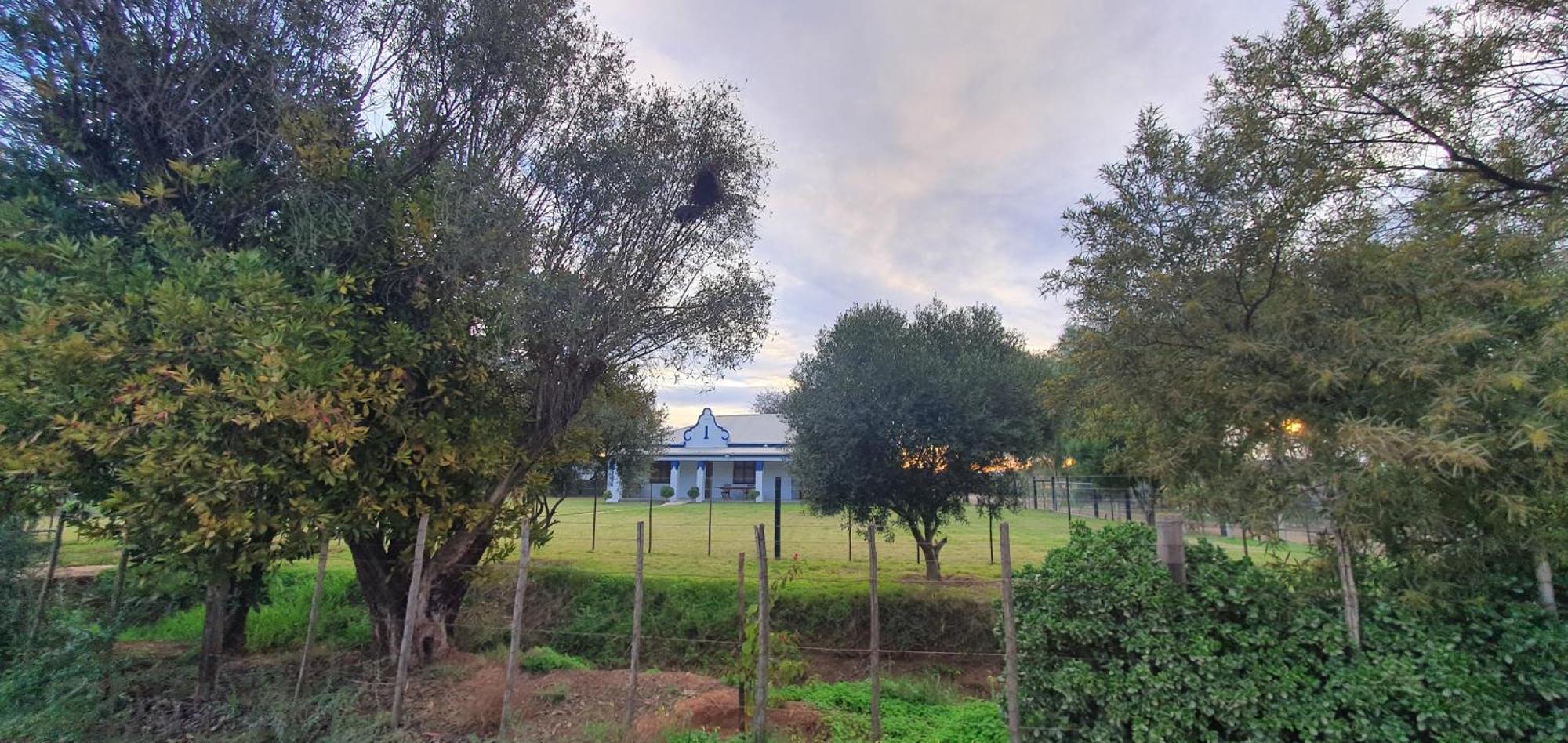 Karoo Leeu Self Catering Oudtshoorn Exterior foto